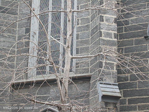 123 nyc06_uweE19912.jpg