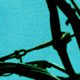  D 7 .    ein 