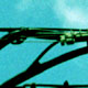  E 19 .    guy´s 