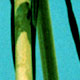  D 16 .    . 